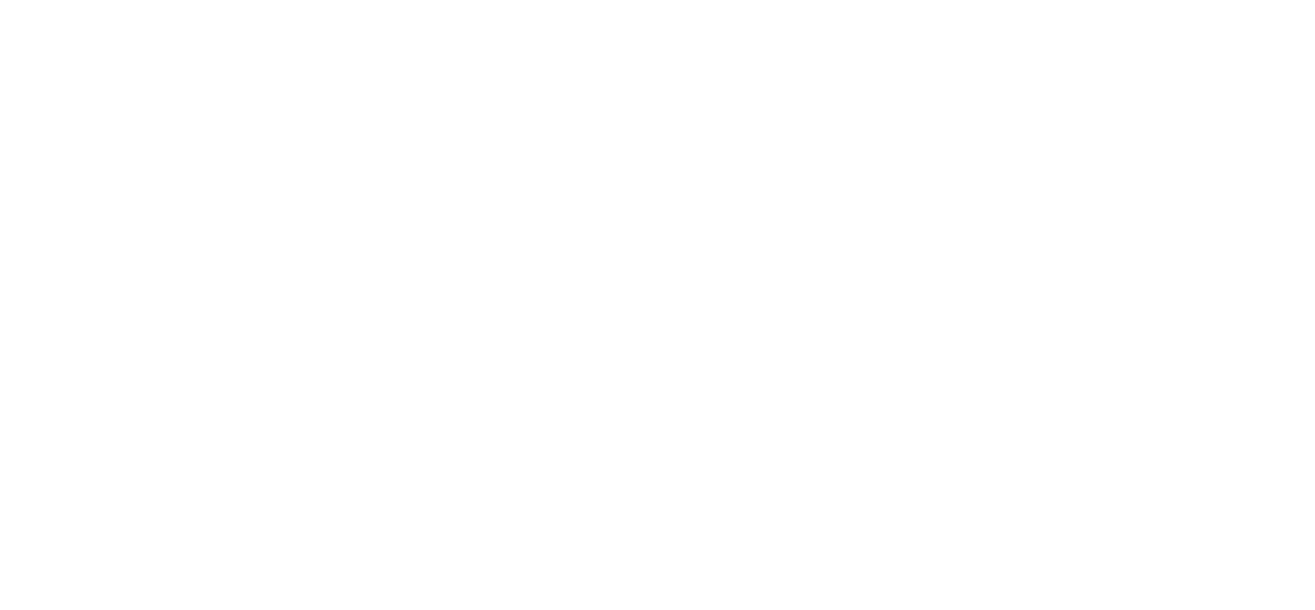 Project Dynamo